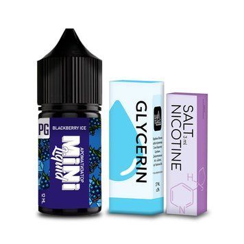 Ароматизатор Mini Liquid Blackberry Ice 30 мл 460120 фото
